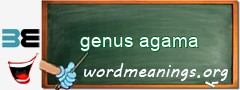 WordMeaning blackboard for genus agama